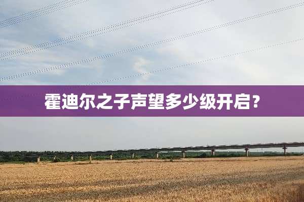 霍迪尔之子声望多少级开启？