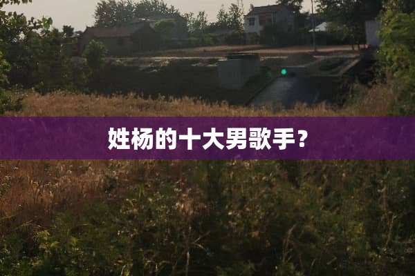 姓杨的十大男歌手？