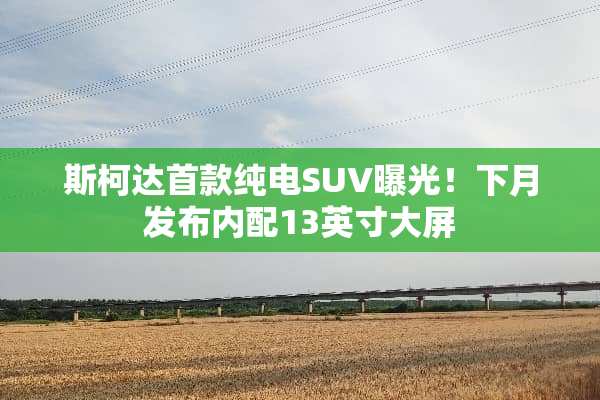 斯柯达首款纯电SUV曝光！下月发布内配13英寸大屏