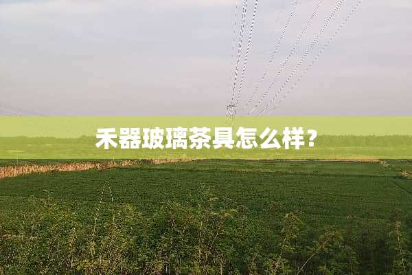 禾器玻璃茶具怎么样？