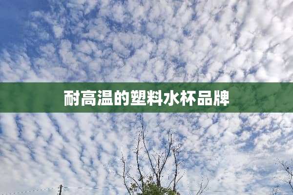耐高温的塑料水杯品牌