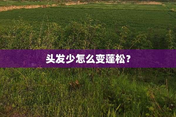 头发少怎么变蓬松？