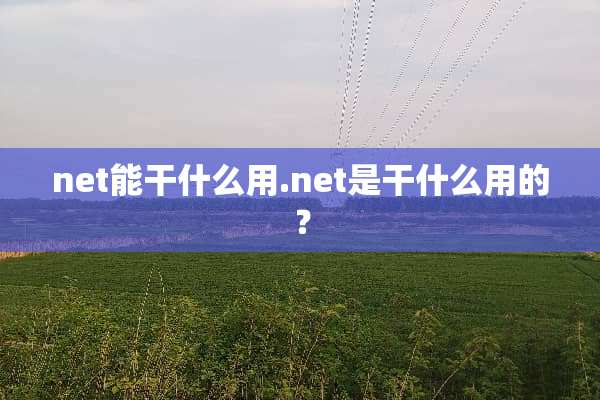 net能干什么用****是干什么用的？