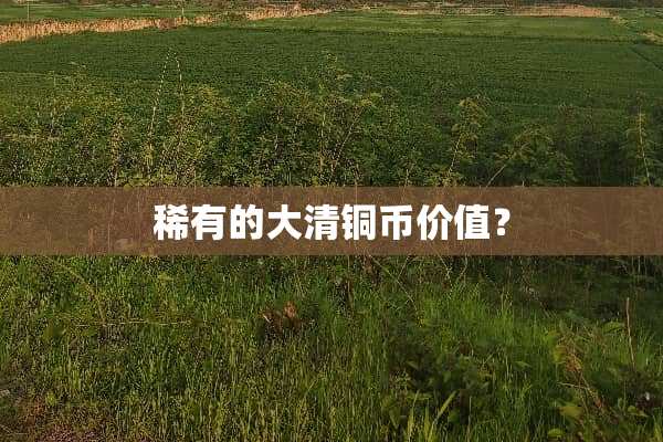 稀有的大清铜币价值？
