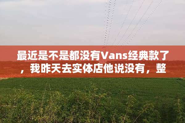 最近是不是都没有Vans经典款了，我昨天去实体店他说没有，整个城市都没有卖的？