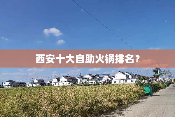 西安十大自助火锅排名？