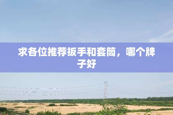 求各位推荐扳手和套筒，哪个牌子好