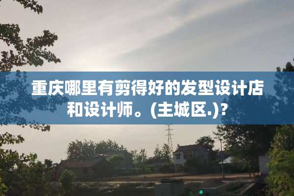 重庆哪里有剪得好的发型设计店和设计师。(主城区.)？