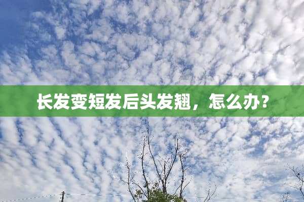 长发变短发后头发翘，怎么办？