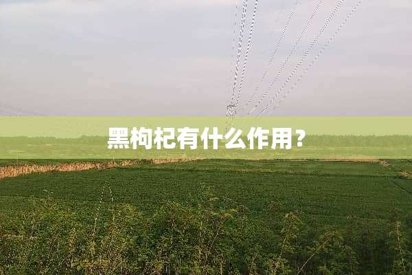 黑枸杞有什么作用？