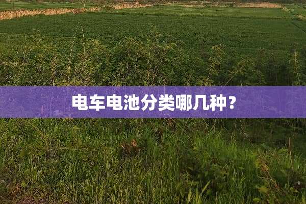 电车电池分类哪几种？