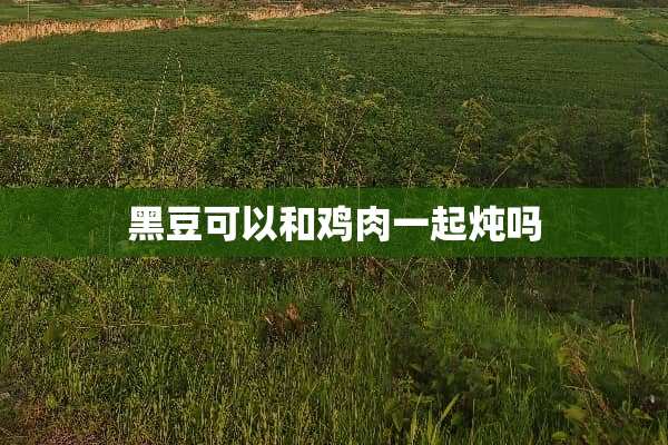 黑豆可以和鸡肉一起炖吗