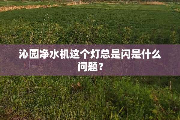 沁园净水机这个灯总是闪是什么问题？