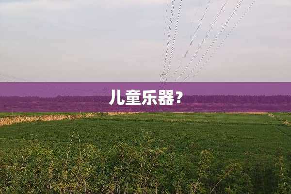 儿童乐器？