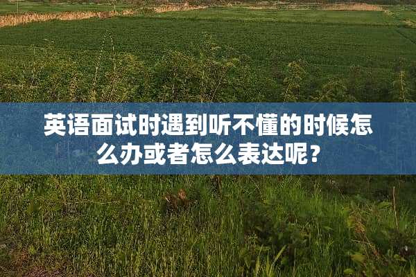 英语面试时遇到听不懂的时候怎么办或者怎么表达呢？