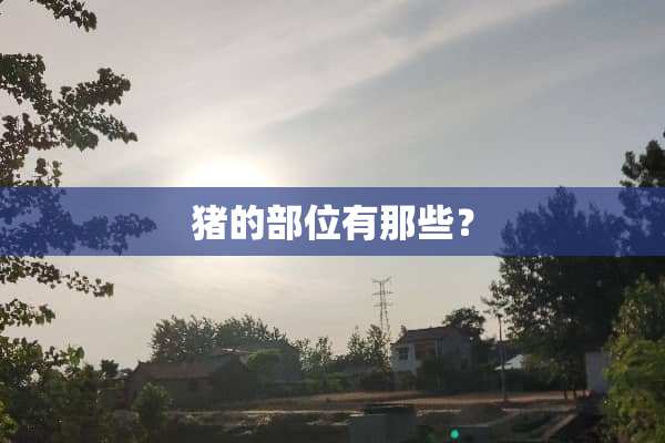猪的部位有那些？