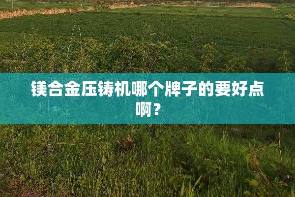 镁合金压铸机哪个牌子的要好点啊？