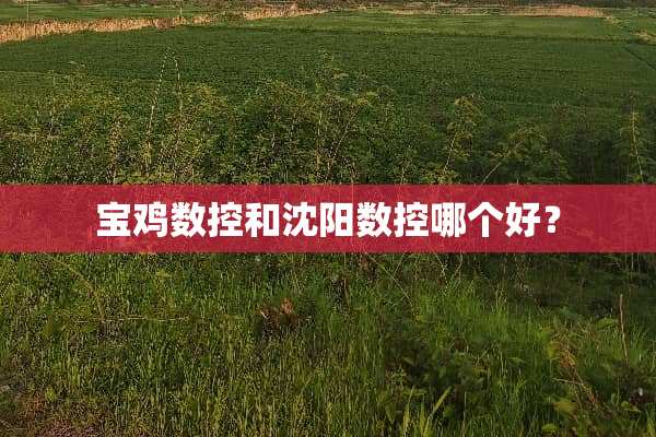 宝鸡数控和沈阳数控哪个好？