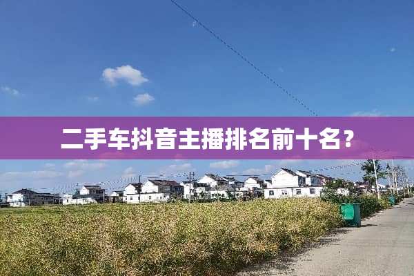 二手车抖音主播排名前十名？