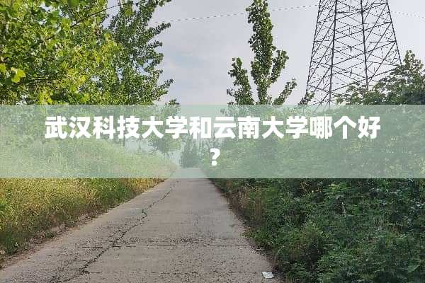 武汉科技大学和云南大学哪个好？
