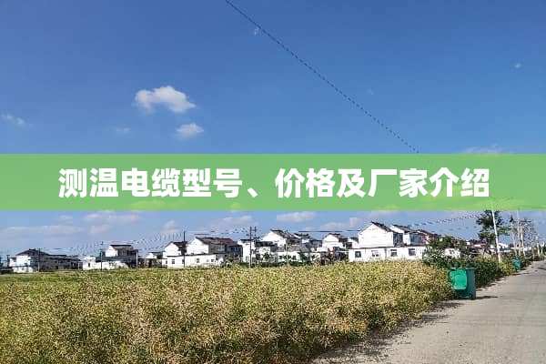 测温电缆型号、价格及厂家介绍
