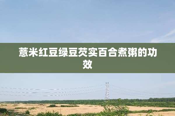 薏米红豆绿豆芡实百合煮粥的功效