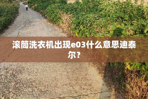 滚筒洗衣机出现e03什么意思迪泰尔？