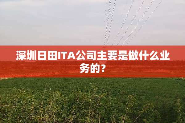 深圳日田ITA公司主要是做什么业务的？