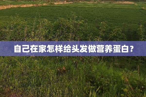 自己在家怎样给头发做营养蛋白？