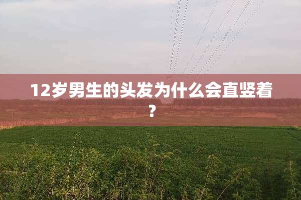 12岁男生的头发为什么会直竖着？