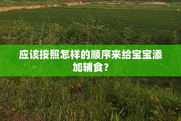 应该按照怎样的顺序来给宝宝添加辅食？