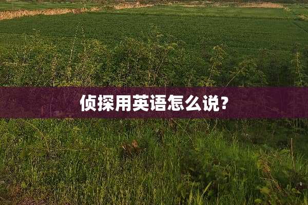 侦探用英语怎么说？