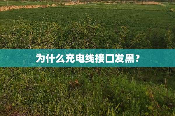 为什么充电线接口发黑？