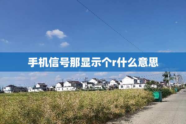 手机信号那显示个r什么意思