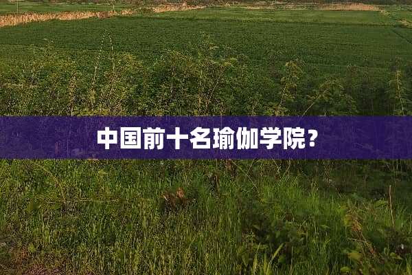 中国前十名瑜伽学院？