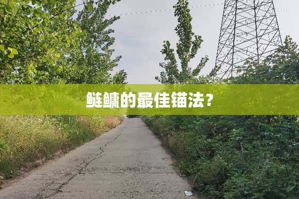 鲢鳙的最佳锚法？
