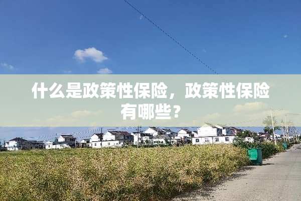 什么是政策性保险，政策性保险有哪些？