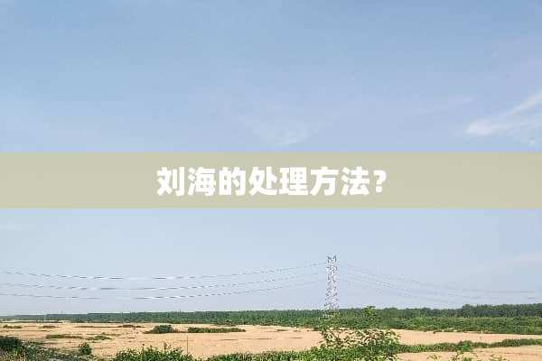 刘海的处理方法？