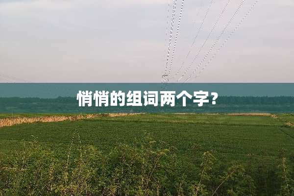 悄悄的组词两个字？