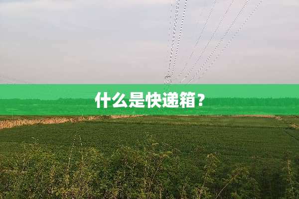 什么是快递箱？