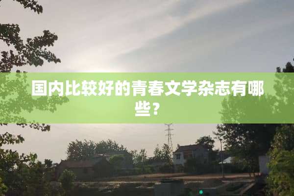 国内比较好的青春文学杂志有哪些？