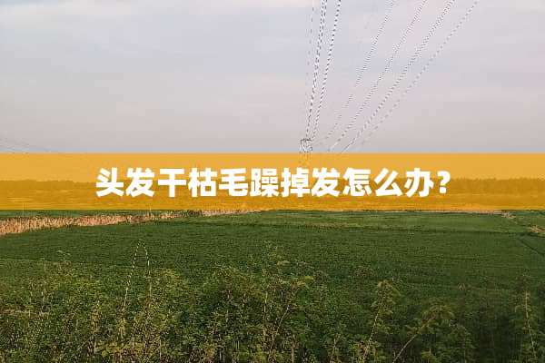 头发干枯毛躁掉发怎么办？
