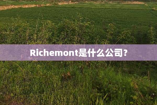 Richemont是什么公司？