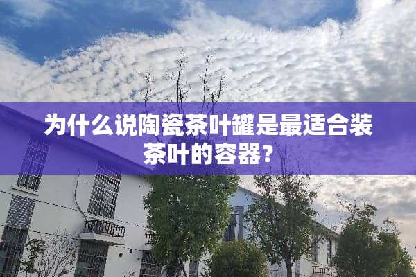 为什么说陶瓷茶叶罐是最适合装茶叶的容器？