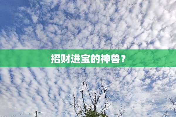 招财进宝的神兽？