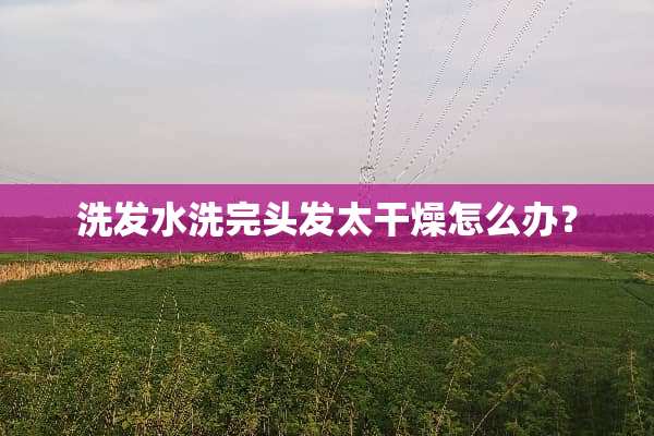 洗发水洗完头发太干燥怎么办？