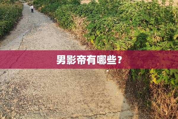 男影帝有哪些？