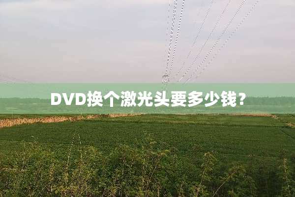DVD换个激光头要多少钱？