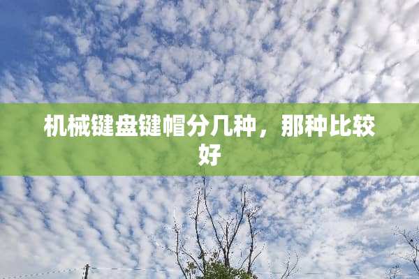 机械键盘键帽分几种，那种比较好