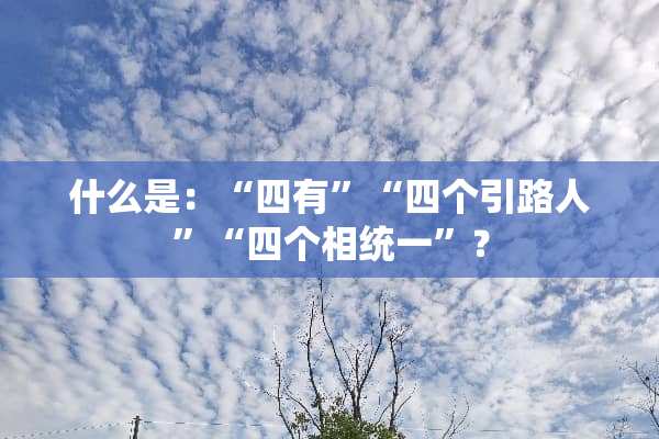 什么是：“四有”“四个引路人”“四个相统一”？